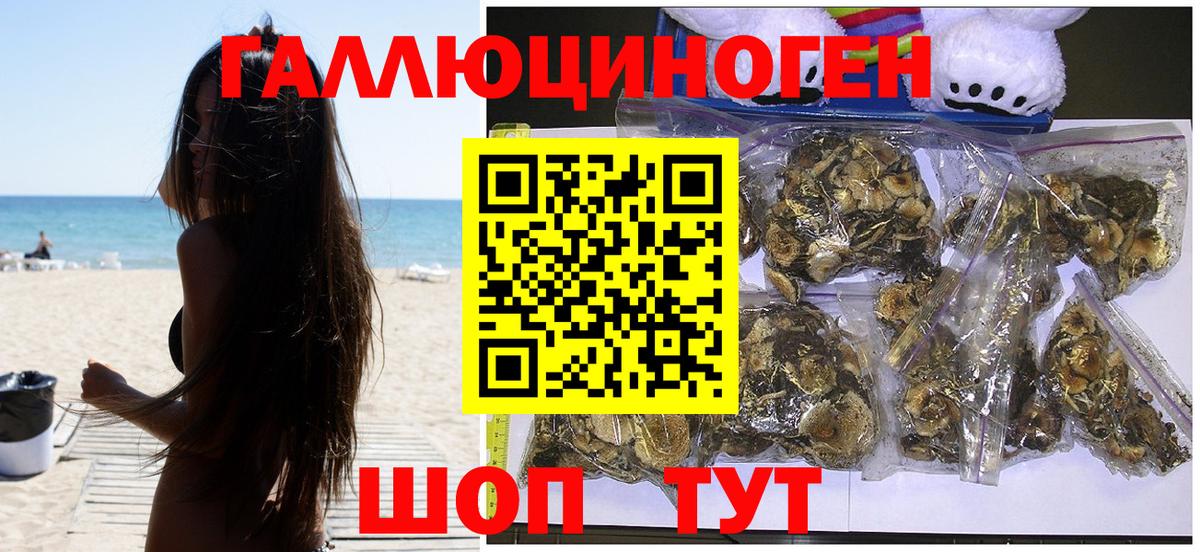 Норильск  Псилоцибиновые грибы GOLDEN TEACHER  Вход с VPN 