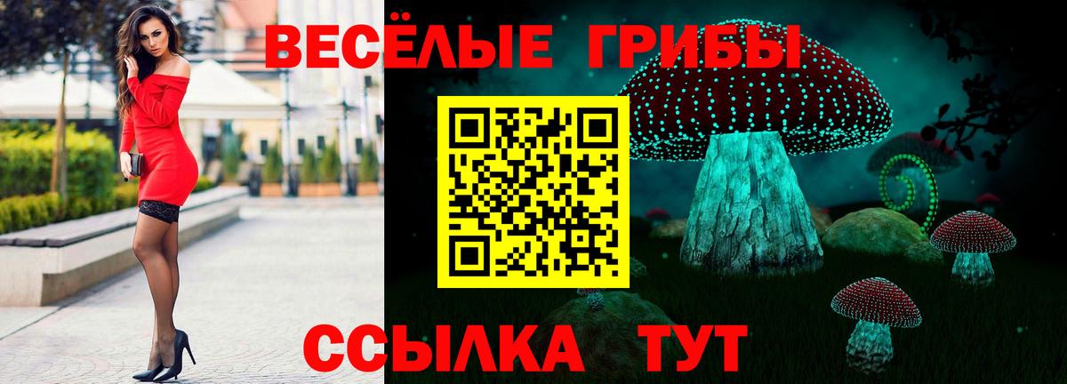 Галлюциногенные грибы Psilocybe Норильск